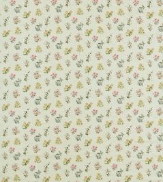 Leiden Fabric by Clarke & Clarke Blush/Sage Leiden Fabric by Clarke & Clarke Blush/Sage