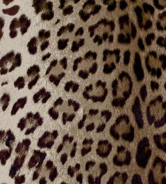 Leopard Fabric by Arley House Ash Leopard Fabric by Arley House Ash