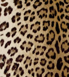 Leopard Fabric by Arley House Tan Leopard Fabric by Arley House Tan