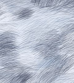 Lepo Wallpaper by Marimekko Blue Lepo Wallpaper by Marimekko Blue