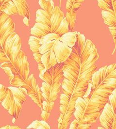 Lets Go Bananas Wallpaper by Woodchip & Magnolia Coral Lets Go Bananas Wallpaper by Woodchip & Magnolia Coral