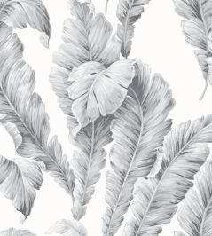 Lets Go Bananas Wallpaper by Woodchip & Magnolia Dove Grey Lets Go Bananas Wallpaper by Woodchip & Magnolia Dove Grey
