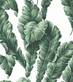 Lets Go Bananas Wallpaper by Woodchip & Magnolia Green Lets Go Bananas Wallpaper by Woodchip & Magnolia Green