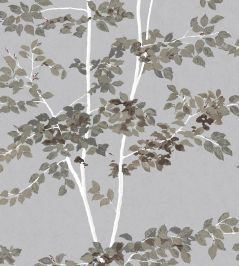 Beech Wallpaper by Lewis & Wood Silverstone Beech Wallpaper by Lewis & Wood Silverstone