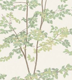 Beech Wallpaper by Lewis & Wood Document Green Beech Wallpaper by Lewis & Wood Document Green