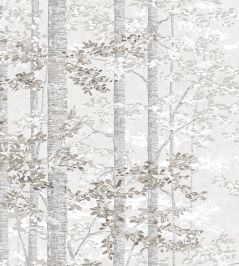 Bosky Wallpaper by Lewis & Wood Bruno Bosky Wallpaper by Lewis & Wood Bruno