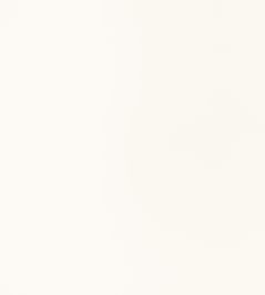 Lexington Fabric by Mark Alexander Creme Lexington Fabric by Mark Alexander Creme