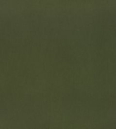 Lexington Fabric by Mark Alexander Verde Lexington Fabric by Mark Alexander Verde