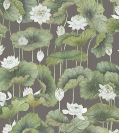 Lily Lotus Wallpaper by Cole & Son White on Charcoal Lily Lotus Wallpaper by Cole & Son White on Charcoal
