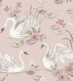 Lily Swan Wallpaper by Borastapeter Blush Lily Swan Wallpaper by Borastapeter Blush