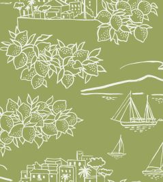 Limoneto Wallpaper by Mini Moderns Asparagus Limoneto Wallpaper by Mini Moderns Asparagus