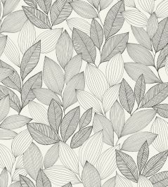 Little Botanica Wallpaper by Caselio Noir et blanc Little Botanica Wallpaper by Caselio Noir et blanc
