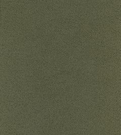Loggia Fabric by Lizzo Forest Loggia Fabric by Lizzo Forest