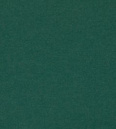 Lugo Outdoor Fabric by Clarke & Clarke Forest Lugo Outdoor Fabric by Clarke & Clarke Forest