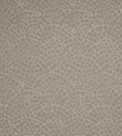 Lulu Fabric by Romo Briosca Lulu Fabric by Romo Briosca
