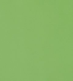 Lyra Velvet Fabric by Thibaut Grass Lyra Velvet Fabric by Thibaut Grass