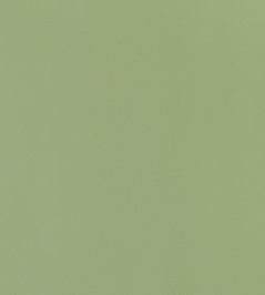 Lyra Velvet Fabric by Thibaut Moss Lyra Velvet Fabric by Thibaut Moss