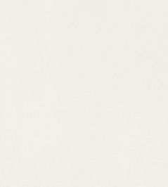 Lyra Velvet Fabric by Thibaut Oyster Lyra Velvet Fabric by Thibaut Oyster