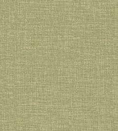 Madagascar Wallpaper by Elitis Le chant des cigales Madagascar Wallpaper by Elitis Le chant des cigales