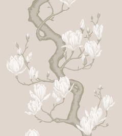Magnolia Tree Wallpaper by Cole & Son Soft Cream & Powder Magnolia Tree Wallpaper by Cole & Son Soft Cream & Powder