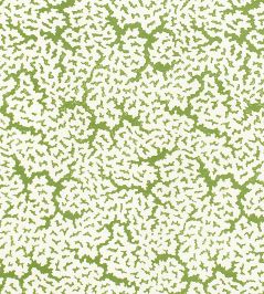 Maldives Fabric by Thibaut Green Maldives Fabric by Thibaut Green