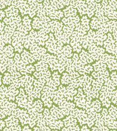 Maldives Wallpaper by Thibaut Green Maldives Wallpaper by Thibaut Green