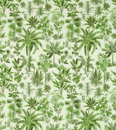 Malindi Fabric by Clarke & Clarke Palm Malindi Fabric by Clarke & Clarke Palm