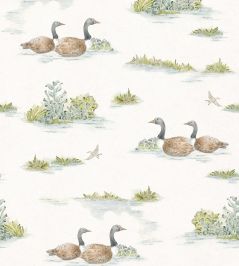 Mallard Duck Wallpaper by Coordonne Sage Mallard Duck Wallpaper by Coordonne Sage