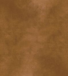 Manade Fabric by Casamance Cappuccino Manade Fabric by Casamance Cappuccino