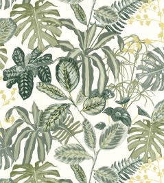 Manaus Wallpaper by Caselio Vert Mousse Manaus Wallpaper by Caselio Vert Mousse