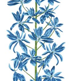Mangrove Tree Wallpaper by Thibaut Blue and White Mangrove Tree Wallpaper by Thibaut Blue and White