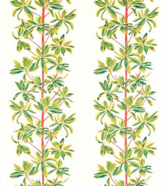 Mangrove Tree Fabric by Thibaut Coral Mangrove Tree Fabric by Thibaut Coral