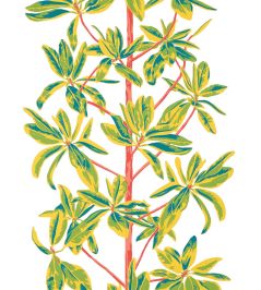 Mangrove Tree Wallpaper by Thibaut Coral Mangrove Tree Wallpaper by Thibaut Coral