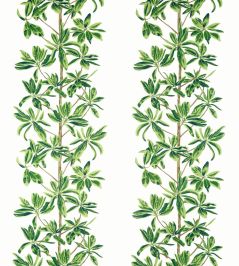 Mangrove Tree Fabric by Thibaut Green and White Mangrove Tree Fabric by Thibaut Green and White
