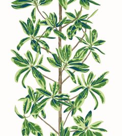 Mangrove Tree Wallpaper by Thibaut Green and White Mangrove Tree Wallpaper by Thibaut Green and White