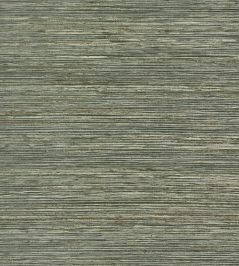Maroma Wallpaper by Thibaut Olive Maroma Wallpaper by Thibaut Olive