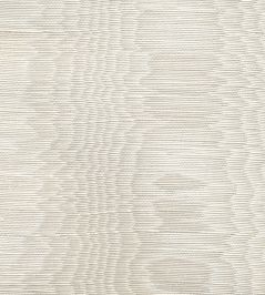 Misa Moire Plain Fabric by Marvic White Misa Moire Plain Fabric by Marvic White