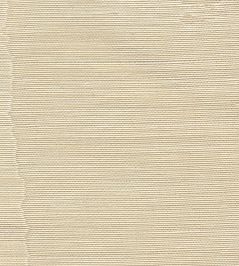 Misa Moire Plain Fabric by Marvic Champagne Misa Moire Plain Fabric by Marvic Champagne