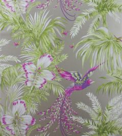 Bird Of Paradise Wallpaper by Matthew Williamson 3 Bird Of Paradise Wallpaper by Matthew Williamson 3