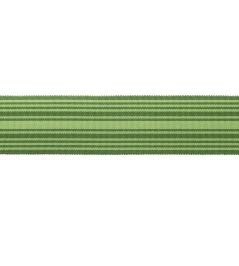 MDS Stripe Border 5.1cm Trimming by Samuel & Sons Evergreen MDS Stripe Border 5.1cm Trimming by Samuel & Sons Evergreen