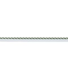 MDS Stripe Cord Trimming by Samuel & Sons Fern MDS Stripe Cord Trimming by Samuel & Sons Fern