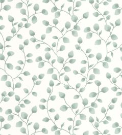 Melbourne Wallpaper by Caselio Vert Mousse Melbourne Wallpaper by Caselio Vert Mousse