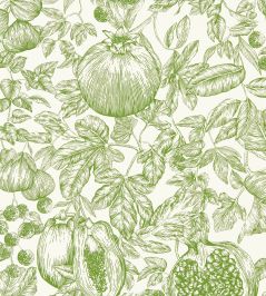 Melograno Wallpaper by Harlequin Forest / First Light Melograno Wallpaper by Harlequin Forest / First Light