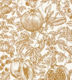 Melograno Wallpaper by Harlequin Gold / Awakening Melograno Wallpaper by Harlequin Gold / Awakening