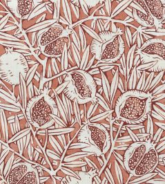 Melograno Outdoor Fabric by Ian Sanderson Coral Melograno Outdoor Fabric by Ian Sanderson Coral