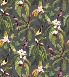 Michelia Wallpaper by Osborne & Little 1 Michelia Wallpaper by Osborne & Little 1