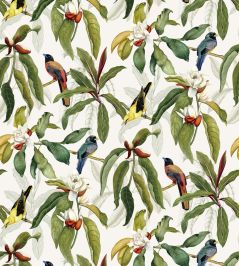 Michelia Wallpaper by Osborne & Little 3 Michelia Wallpaper by Osborne & Little 3
