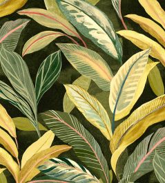 Midi Oasis Fabric by Arley House Zest Midi Oasis Fabric by Arley House Zest