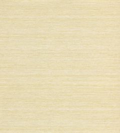 Midtown Wallpaper by Nobilis 40 Midtown Wallpaper by Nobilis 40