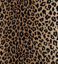 Mimi Wallpaper by Romo Tan Mimi Wallpaper by Romo Tan